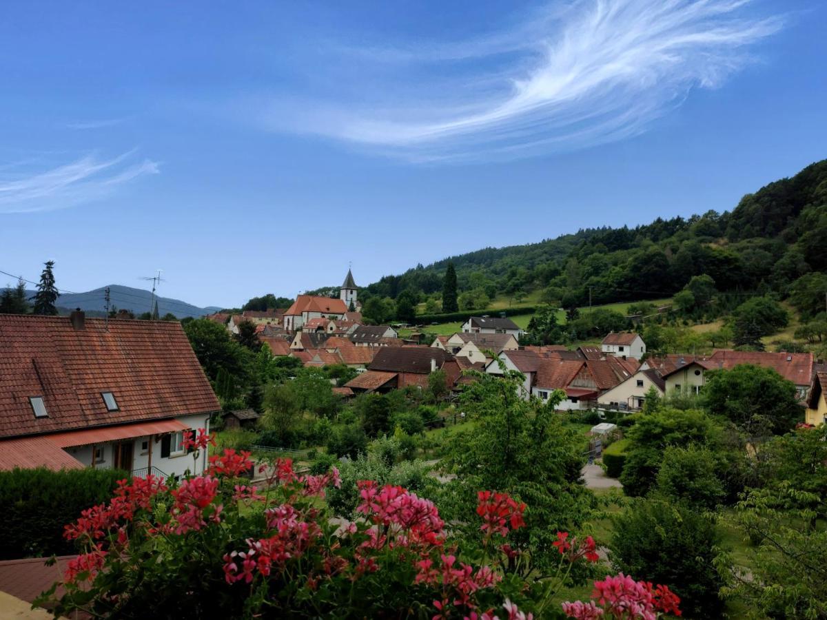 Hotel Dernbachtal Εξωτερικό φωτογραφία